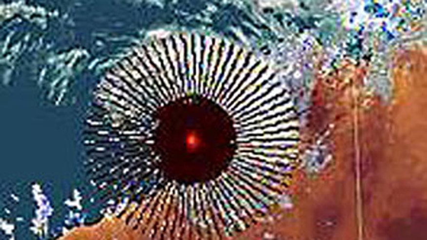 UFO or Radar Anomaly